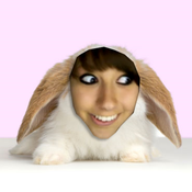 Rabbit_boxxy
