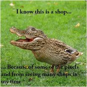 Crocoshop