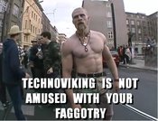 Technoviking_faggotry