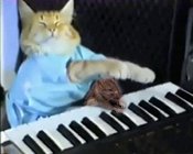 Keyboardrat