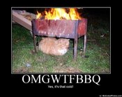 633629906662839992-omgwtfbbq
