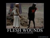 Fleshwounds