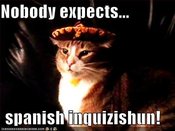 Nobody-expects