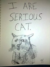 Rsz_serious_cat
