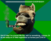 Hh