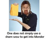 Sham_wow_lol