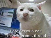 Iareseriouscat