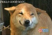 Feels_good_man_dog