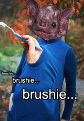 Peekaru_brushie