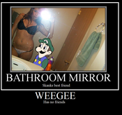 Weegeeskanks