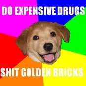 Advice_dog_golden_bricks