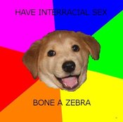 Advicedogpic1