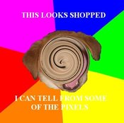 Thislooksshopped