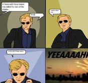 Orca_csi_guy