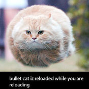 Misslereloaded