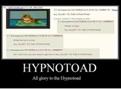 1268116174831