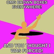 Suprising-holeguy-omg-brown-boxes-everywhere-and-you-thought-i-was-forced