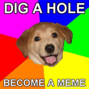 Holeguydog