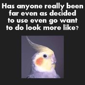 Has-anyone-really-been-far-even-as-decided-to-use-even-go-want-to-do-look-more-like