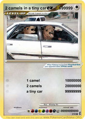 2-camels-in-a-tiny-car-ex-lv-x