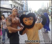 Trapeziocuritibaamigo1_thumb