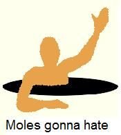 Moles_gonna_hate20110724-22047-ufi9uh