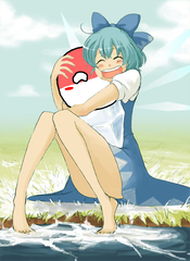 Cirno_poland