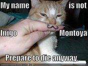 Funny-pictures-mustached-princess-bride-cat