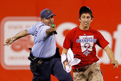 Tazed