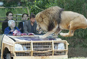 Keanulion