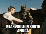 Lolcat5cf6120bfa5aa387b49d16583c82d386c14a5484