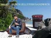 Keanu_beach_jellyfish_sandwich