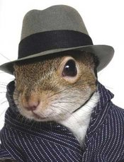 Squirrel4
