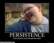 Persistance
