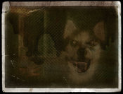 Smiledog_original