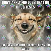 Dont-apply-for-jobs-that-do-drug-tests-use-unemployment-check-to-buy-more-weed