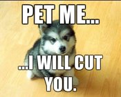 Pet-me-i-will-cut-you