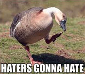 Haters_gonna_hate1