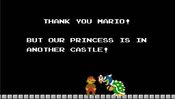 Bowser%20spy