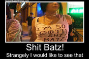 Demotiv_batz