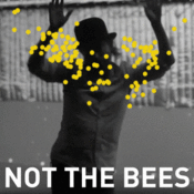 Thomyorke-notthebees