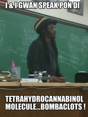 Rasta