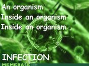 Memes-infection