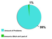 99problemspiechart