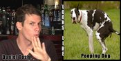 Daniel_tosh_pooping_dog.jpg.opt700x350o0,0s700x350