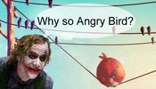 Why_so_angry_bird_joker.jpg.opt570x326o0,0s570x326