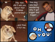 323