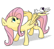 B19