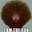 Rebundia Fellani
