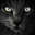 Shadow Panther Shadow Panther